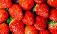 Strawberry Berries Ripe Red