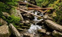Stream Water Logs Stones Nature