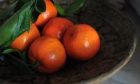 Tangerines Fruits Leaves Citrus