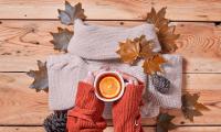 Tea Lemon Mug Hands Sweater Autumn Cozy