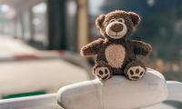 Teddy-bear Toy Cute
