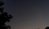 Tree Silhouette Sky Night Dark