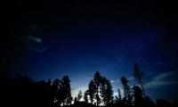 Trees Silhouettes Sky Night Dark