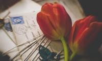 Tulips Flowers Letters Envelopes Aesthetics