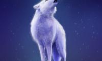Wolf Howl Snow White Art