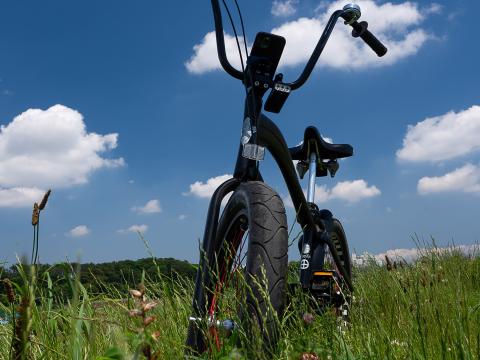 Bike Field Grass Greenery