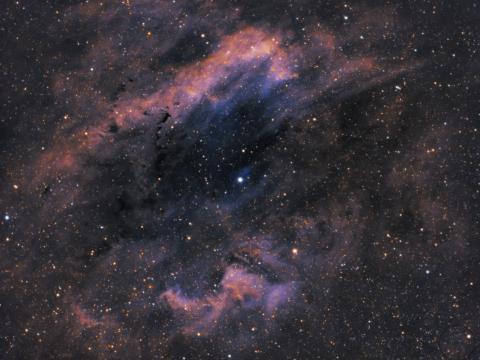 Clamshell-nebula Nebula Stars Shine Space
