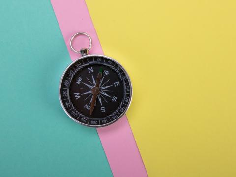 Compass Navigation Wind-rose