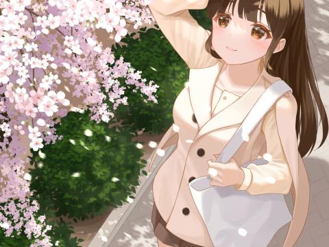 Girl Coat Sakura Anime Art