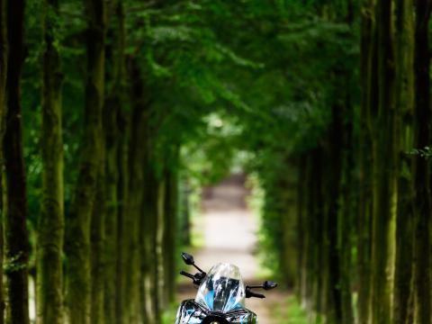 Motorcycle Blue Forest Trees