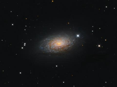Sunflower-galaxy Galaxy Stars Glare Space