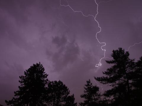 Trees Silhouettes Lightning Thunderstorm Dark